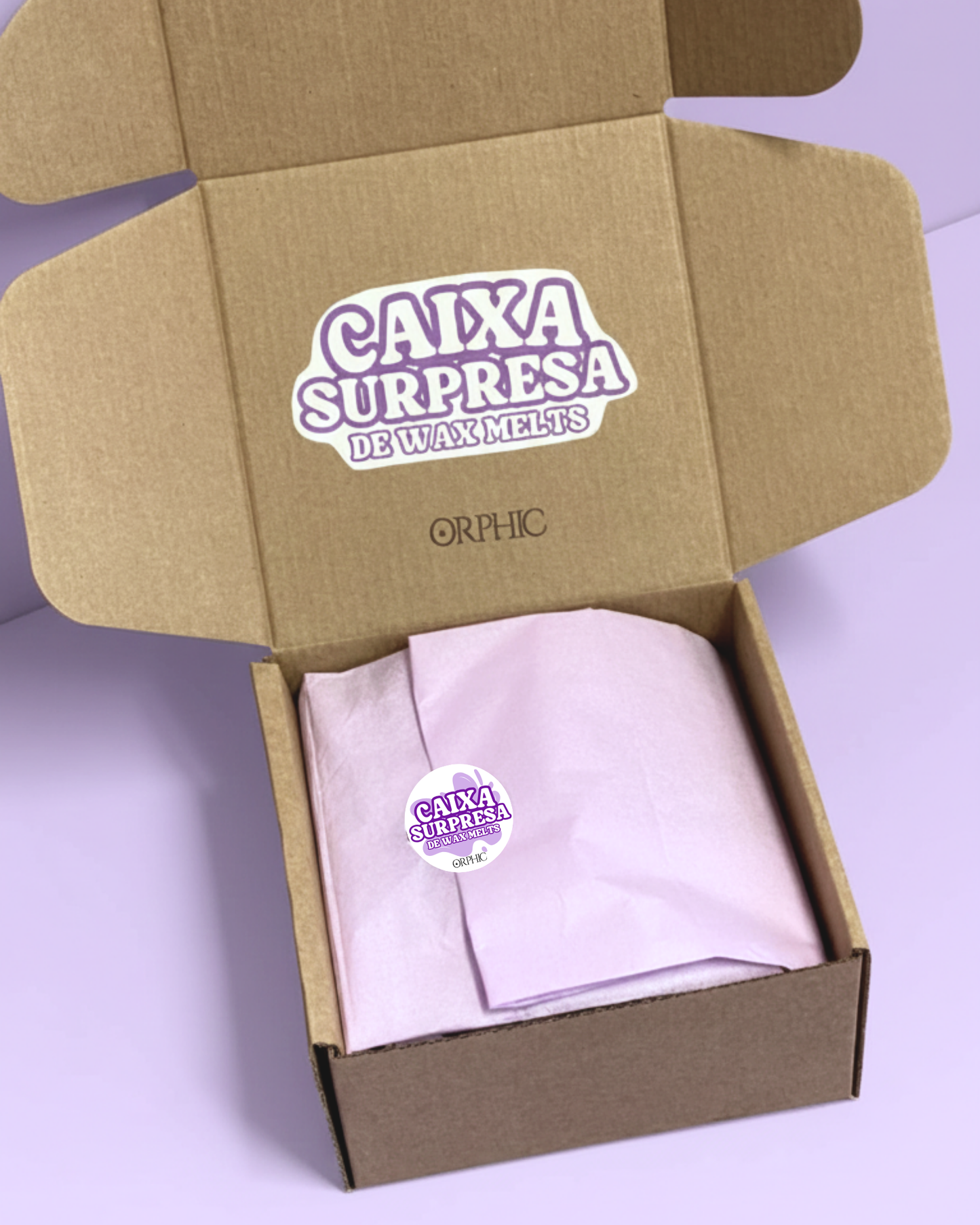 CAIXA SURPRESA DE WAX MELTS