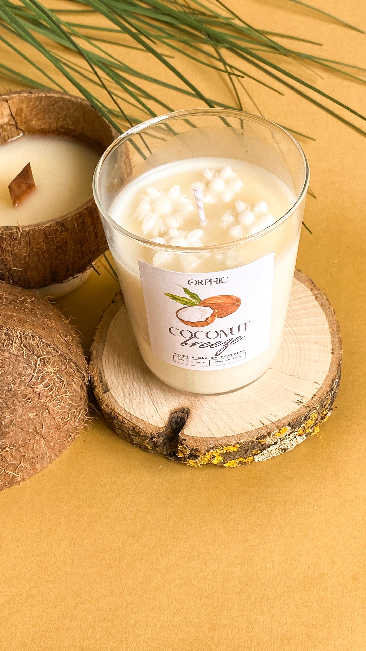 Vela Coconut Breeze