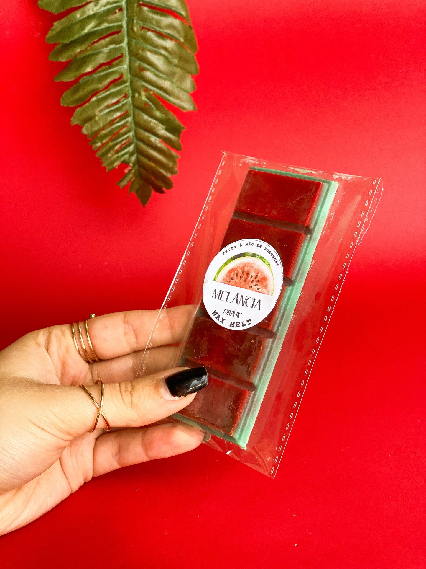 Wax Melt Melancia