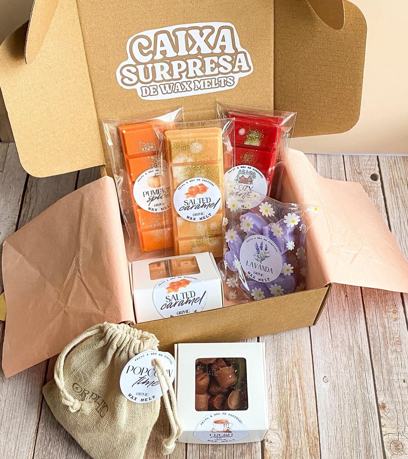 CAIXA SURPRESA DE WAX MELTS
