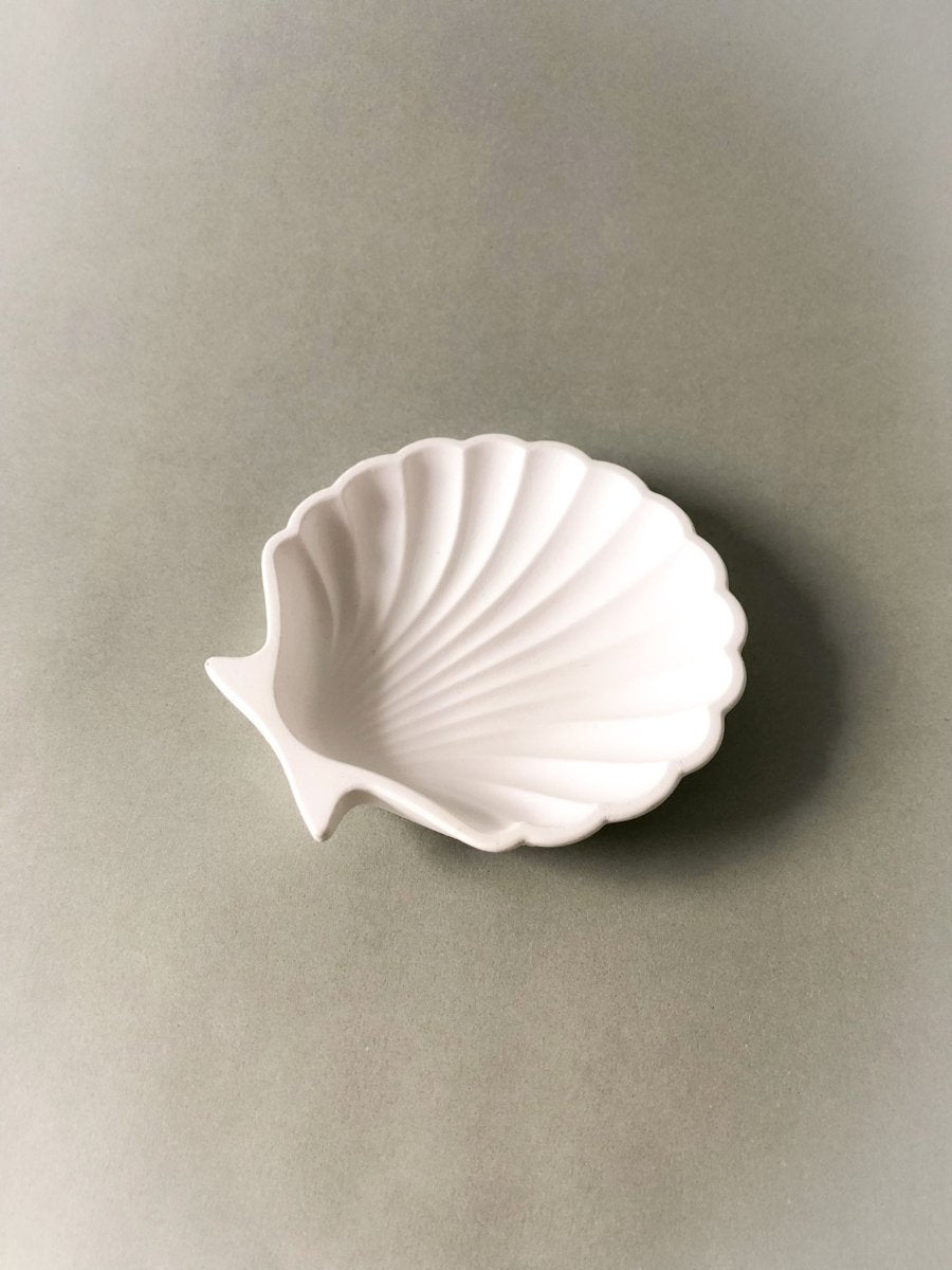 BASE CONCHA - ORPHIC