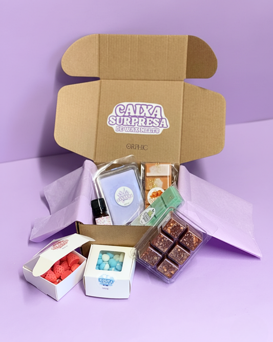 CAIXA SURPRESA DE WAX MELTS