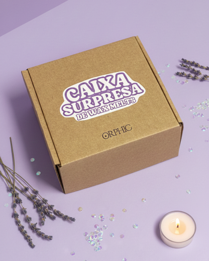 CAIXA SURPRESA DE WAX MELTS