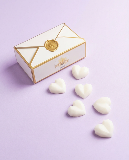 Wax Melts - Caixinha Premium (+125h)