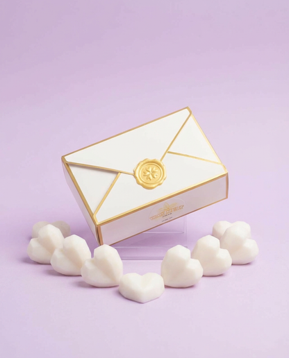 Wax Melts - Caixinha Premium (+125h)
