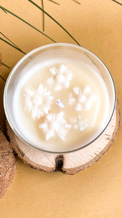 Vela Coconut Breeze