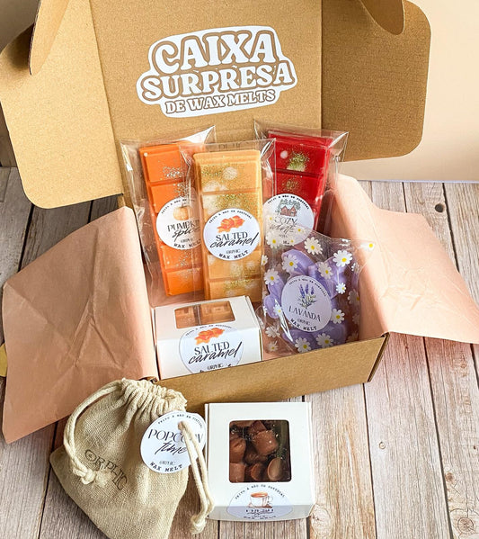 CAIXA SURPRESA DE WAX MELTS
