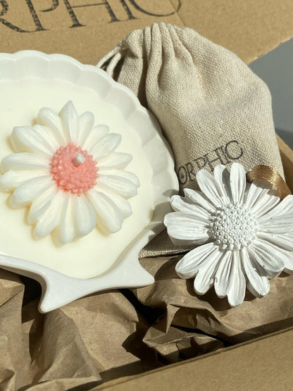 BOX MARGARIDA - ORPHIC